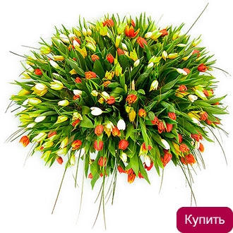 201 301 тюльпан в корзине
