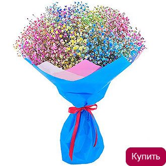 Букет разноцветная гипсофила